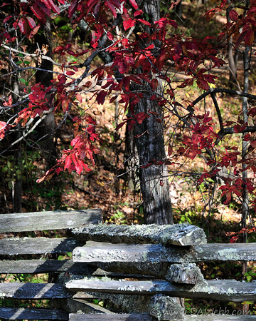 Split Rail Fence